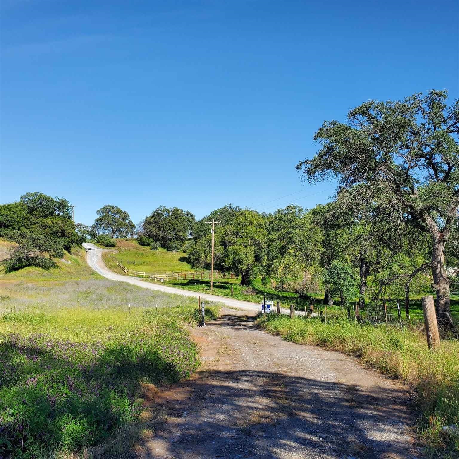 16288 Stamp Mill Loop Road East