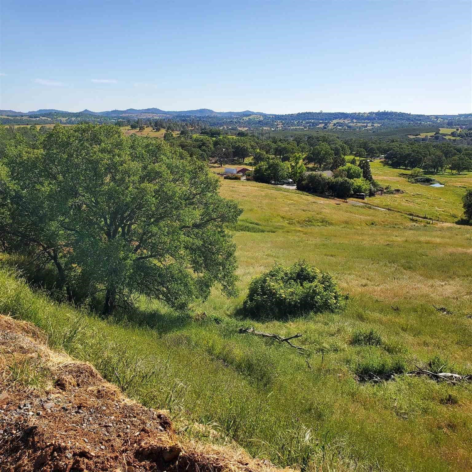 16288 Stamp Mill Loop Road East