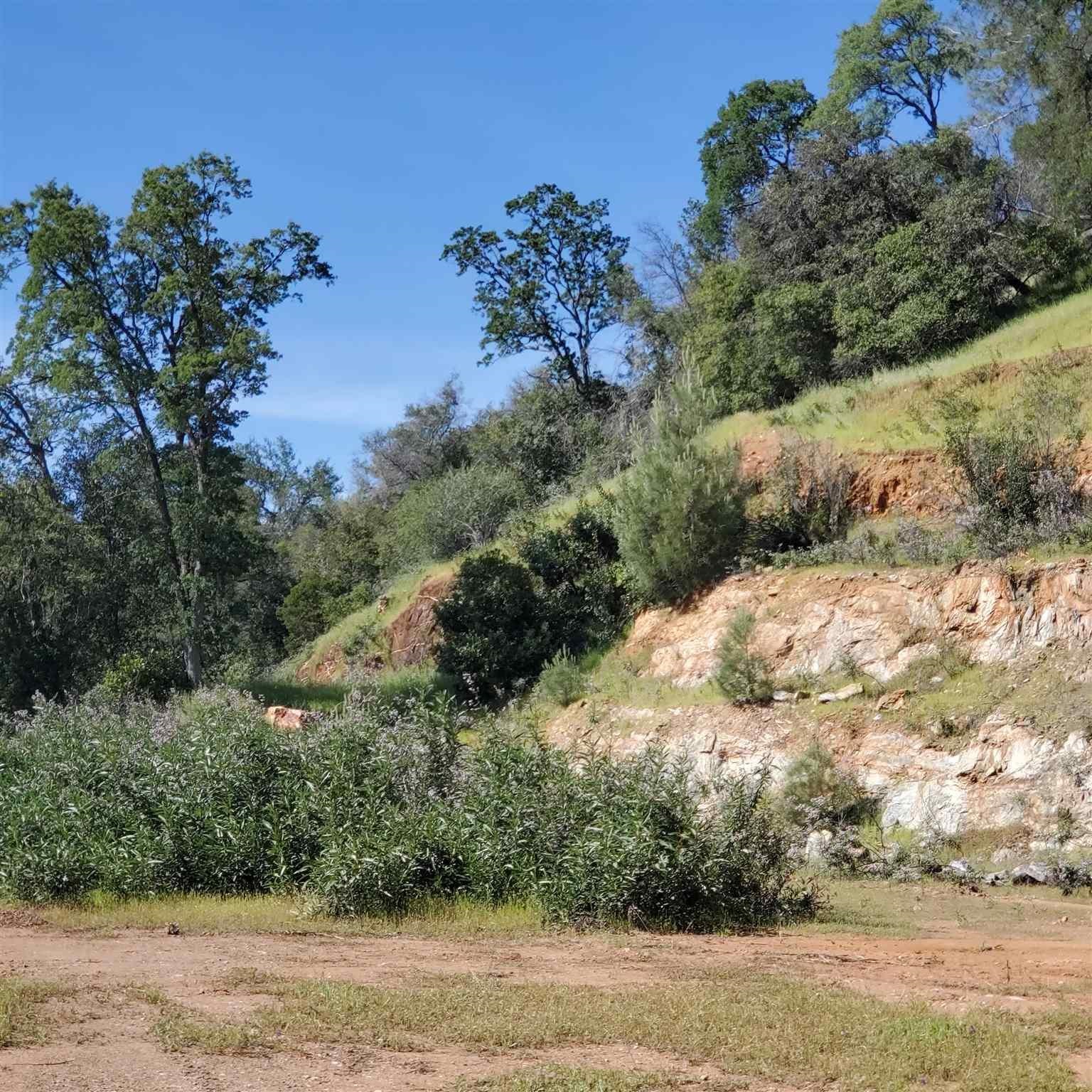 16288 Stamp Mill Loop Road East