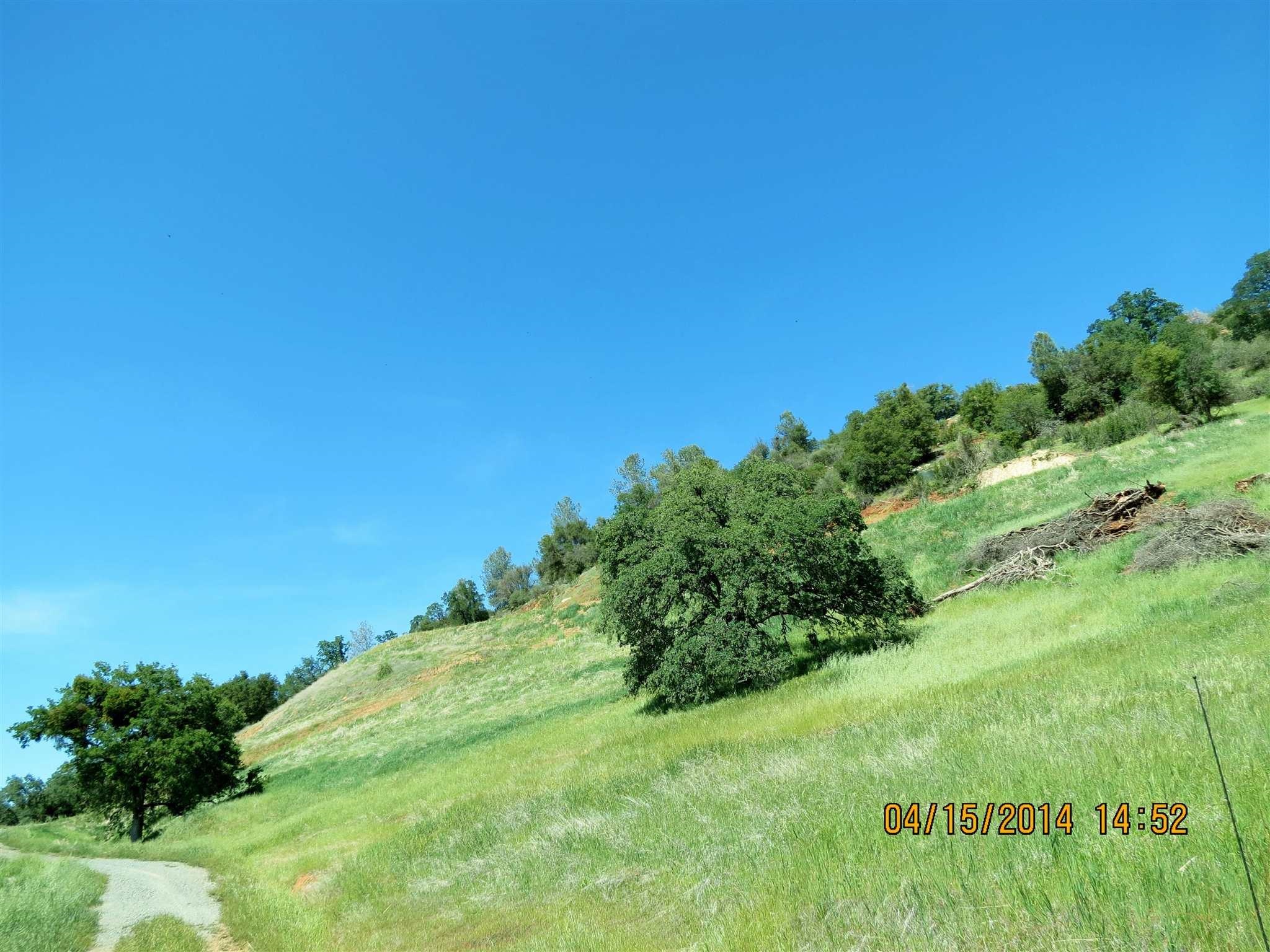 16288 Stamp Mill Loop Road East