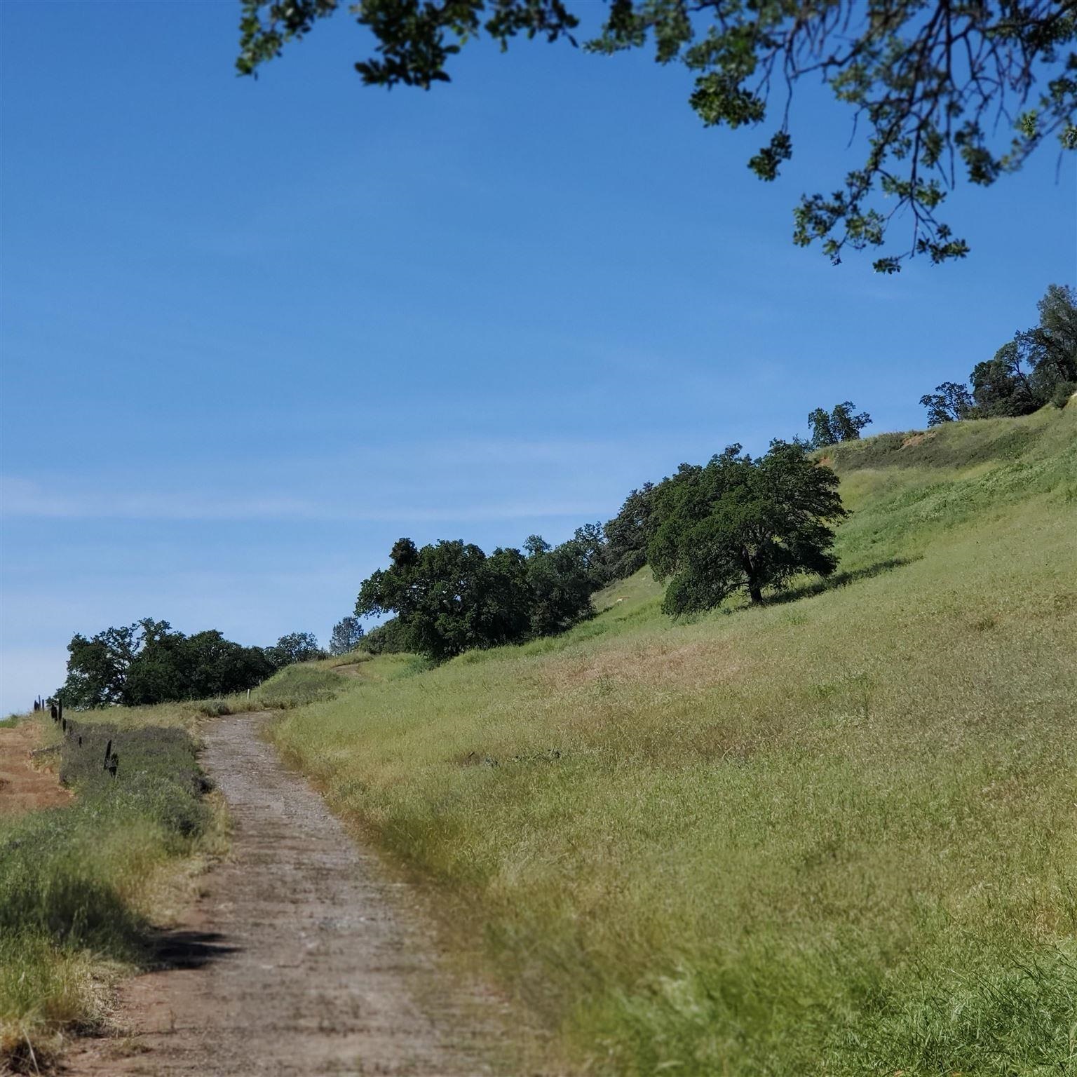 16288 Stamp Mill Loop Road East