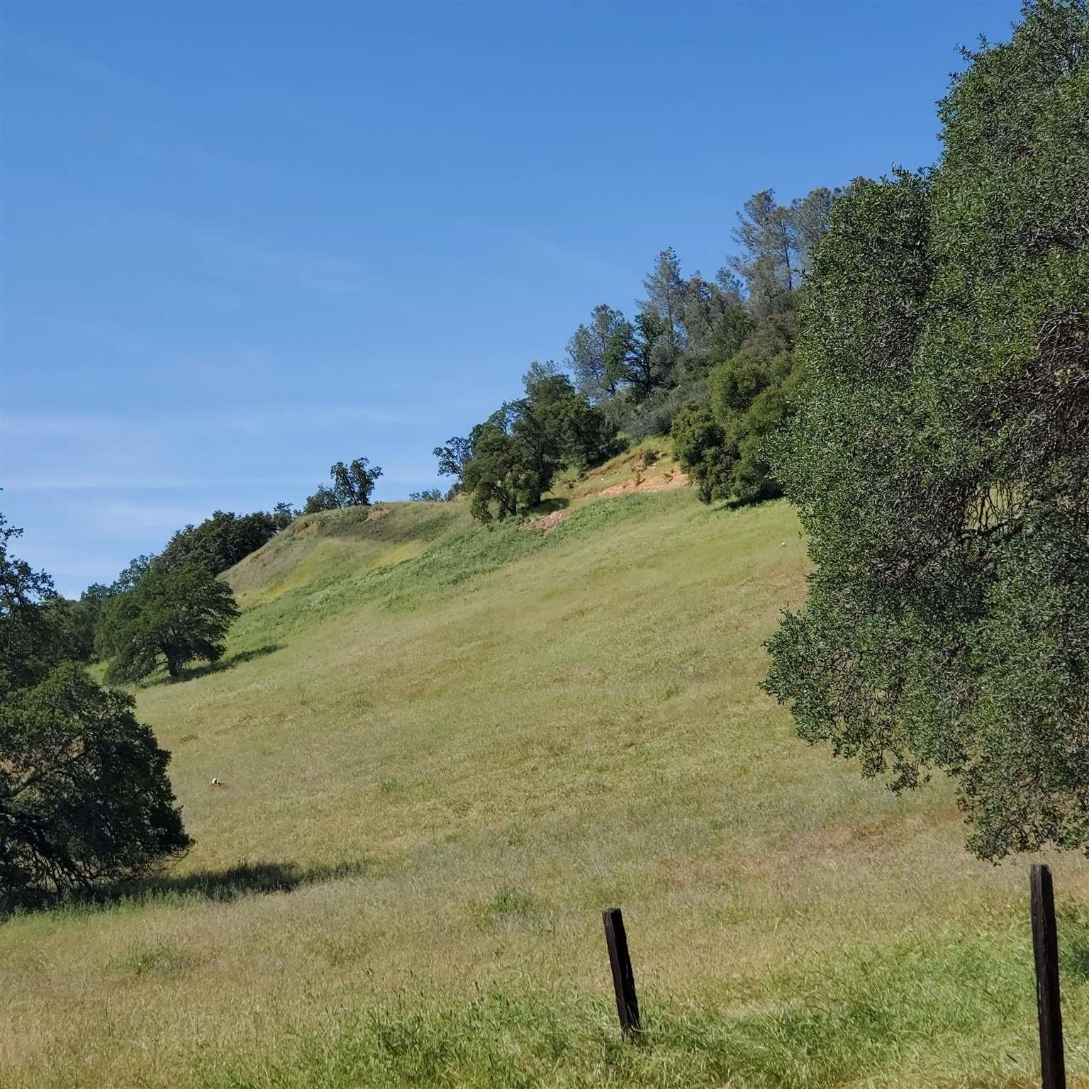 16288 Stamp Mill Loop Road East