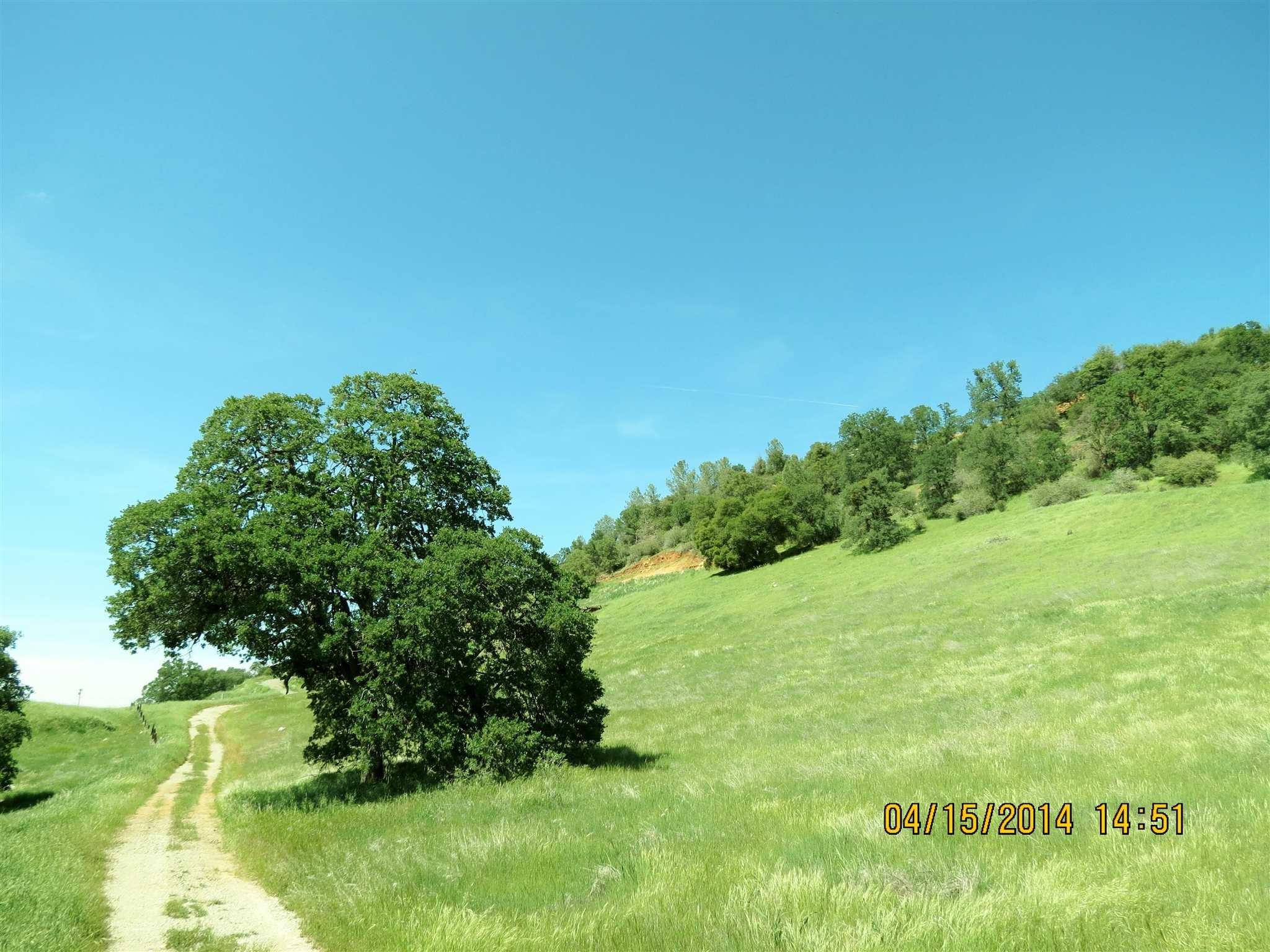 16288 Stamp Mill Loop Road East