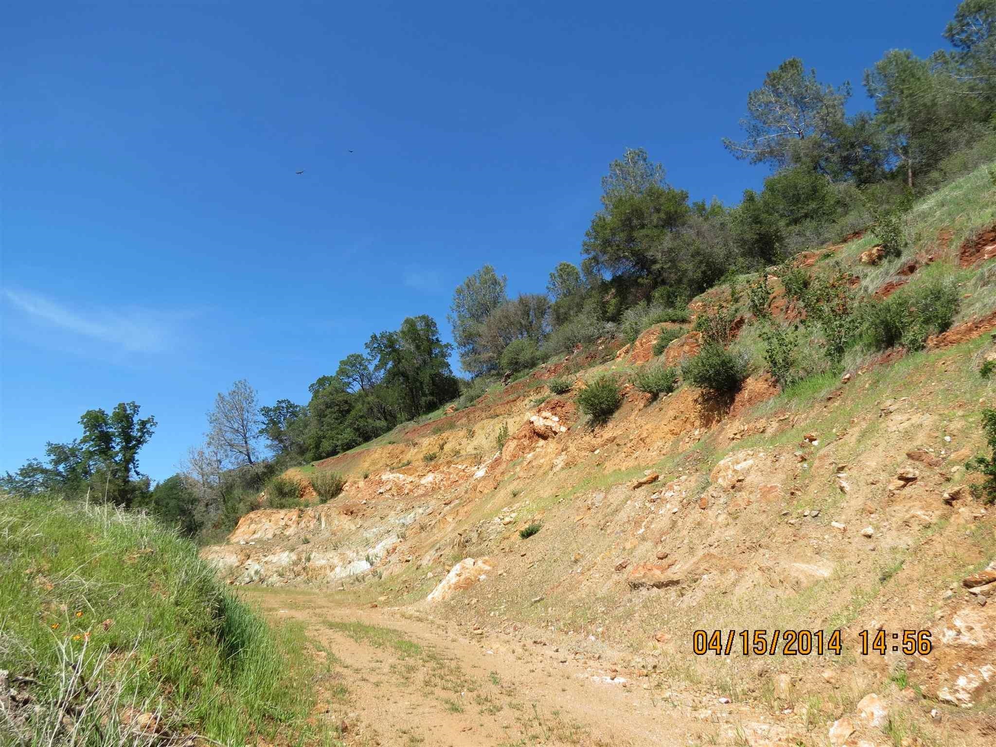 16288 Stamp Mill Loop Road East