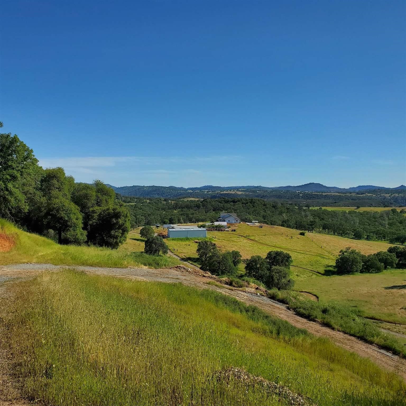 16288 Stamp Mill Loop Road East