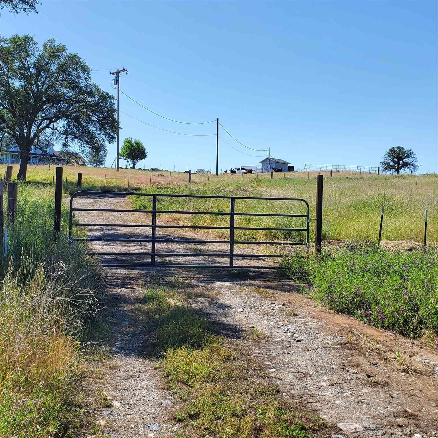 16288 Stamp Mill Loop Road East