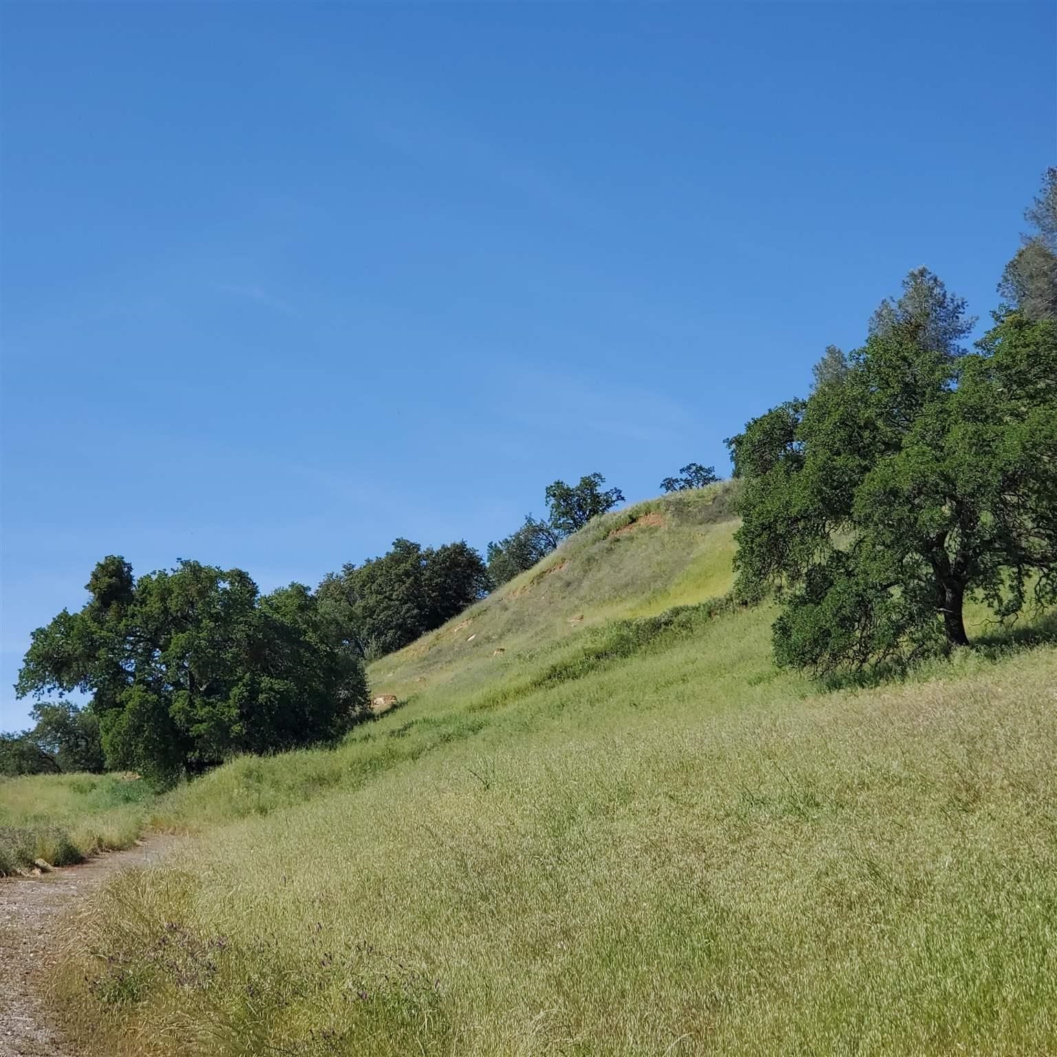 16288 Stamp Mill Loop Road East