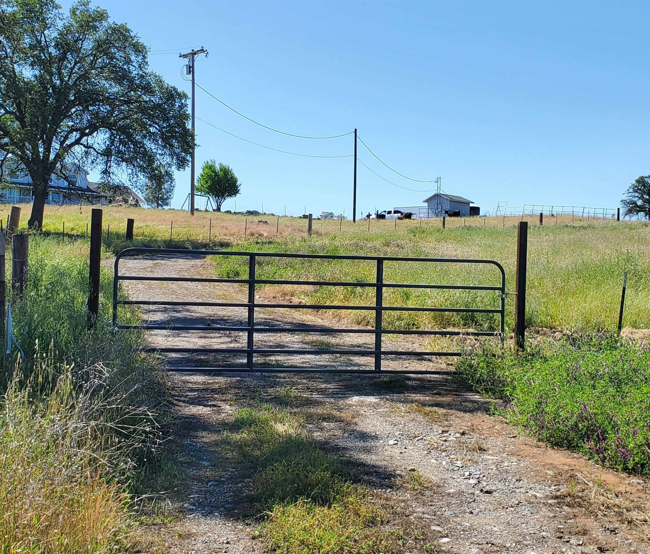16288 Stamp Mill Loop Road East