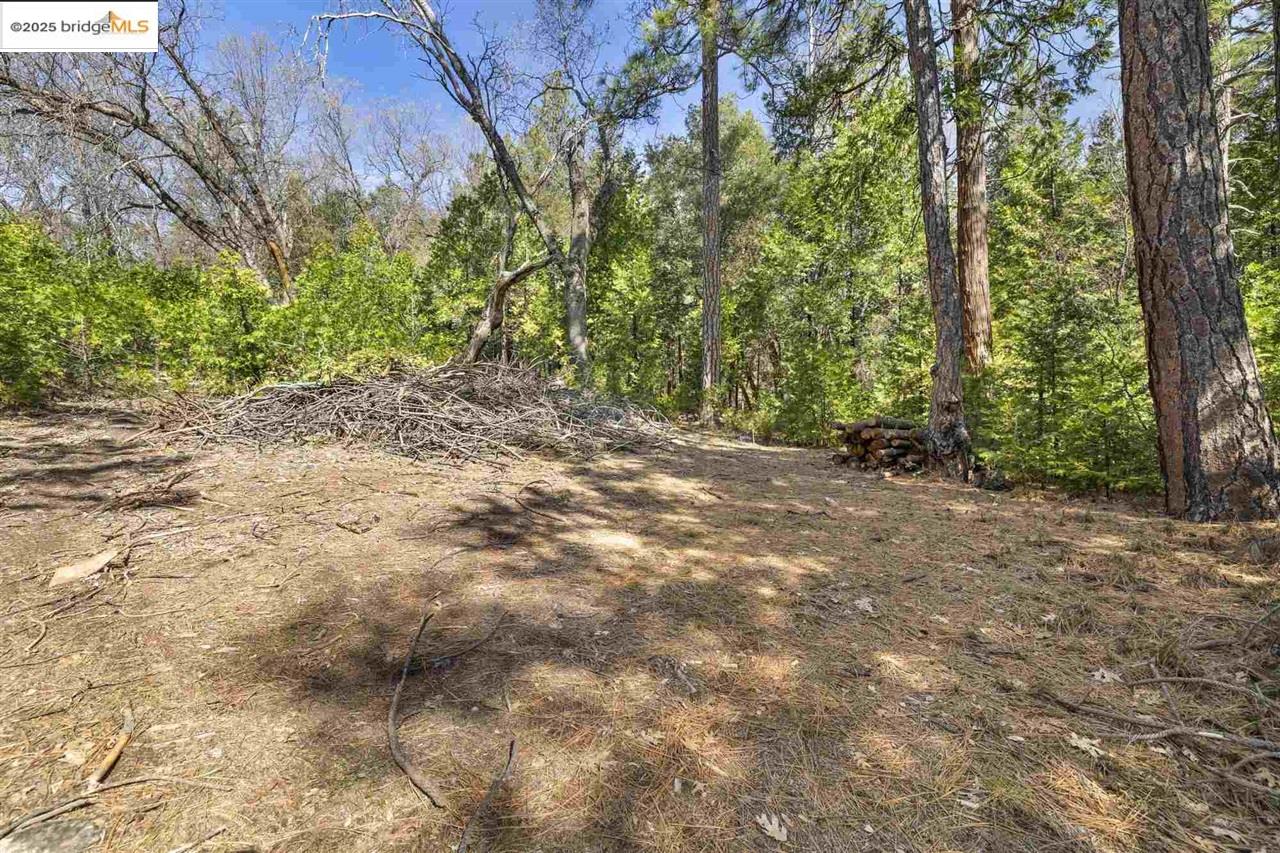 23282 Comstock Ranch