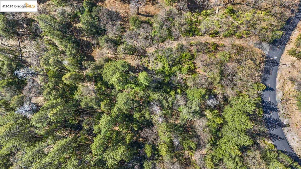 23282 Comstock Ranch