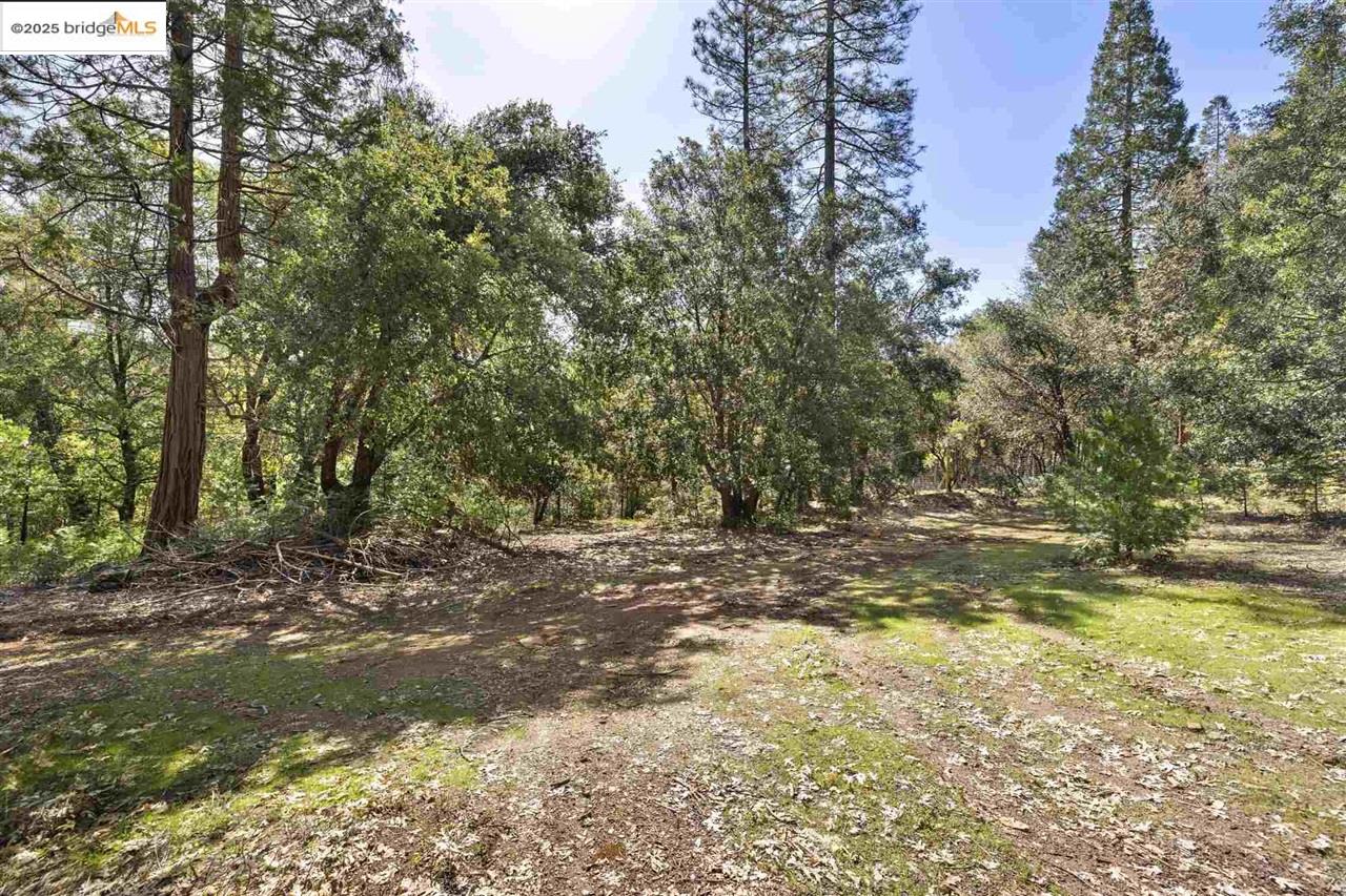 23282 Comstock Ranch