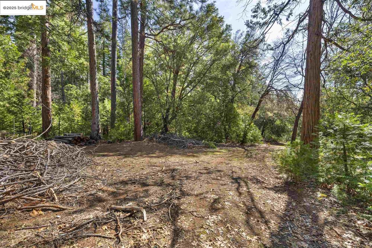 23282 Comstock Ranch