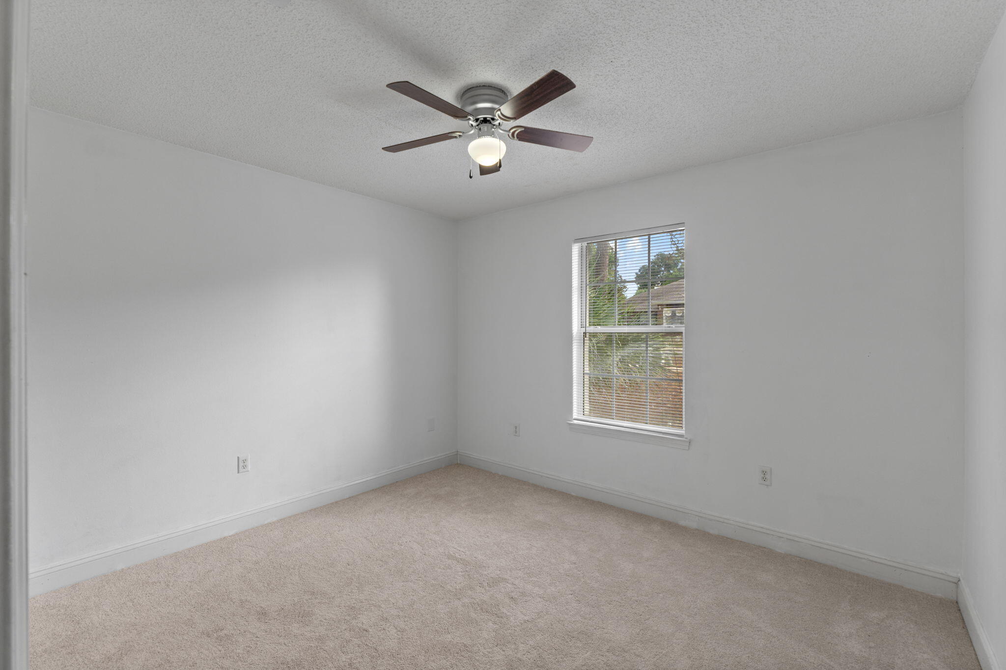 2603 Palamino Trail