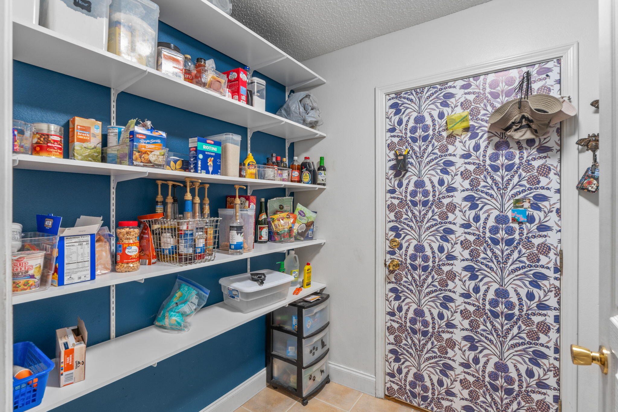 2603 Palamino Trail