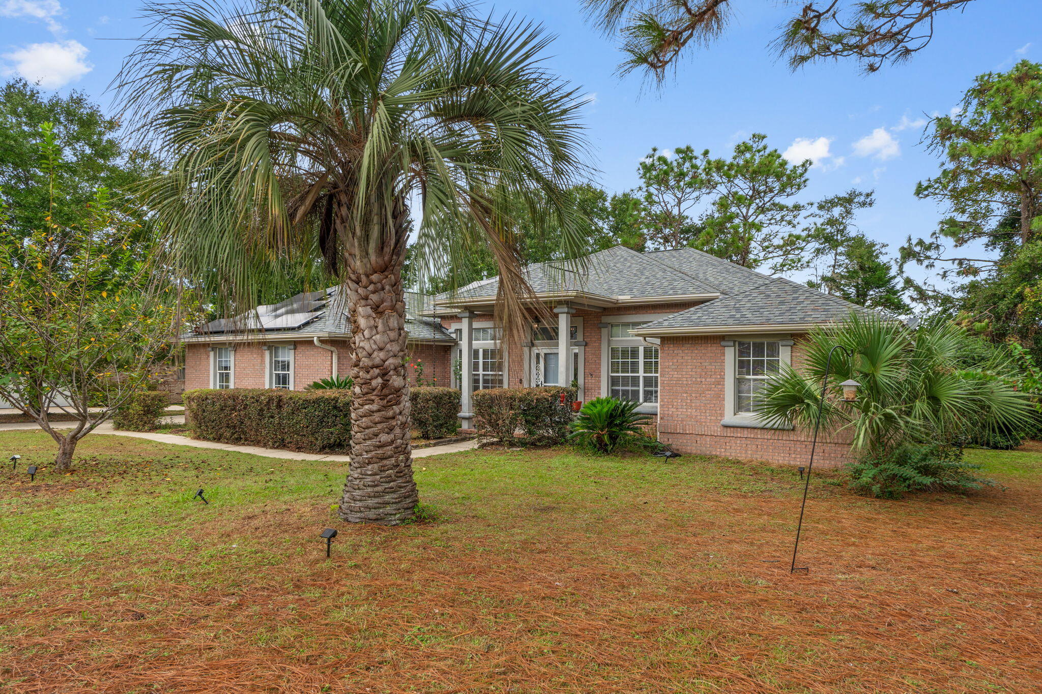 2603 Palamino Trail