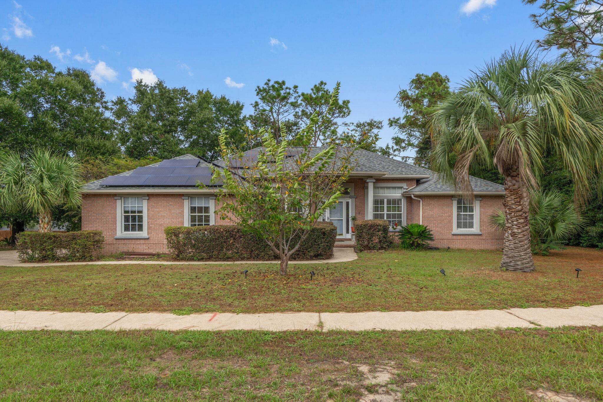 2603 Palamino Trail