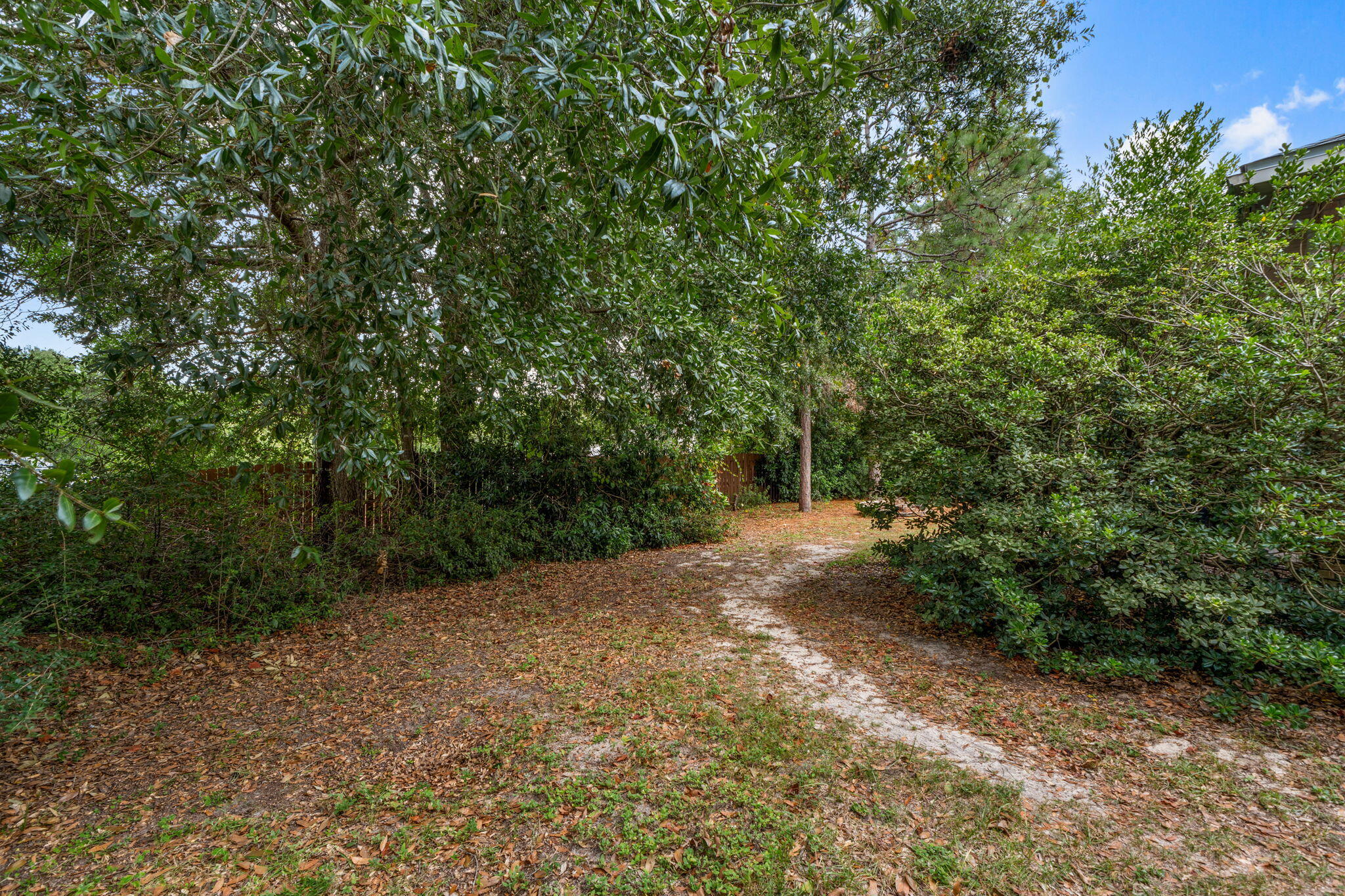 2603 Palamino Trail