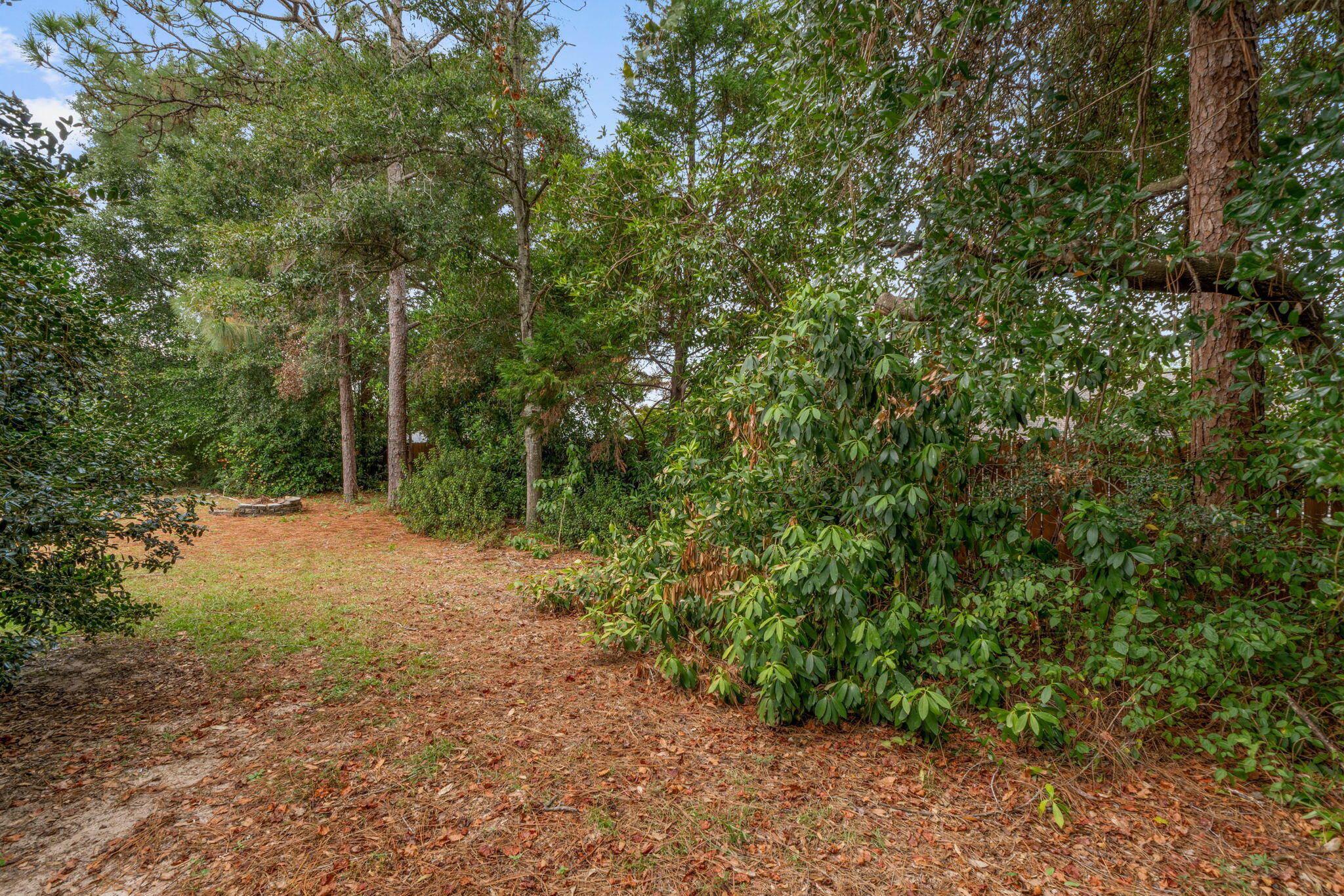 2603 Palamino Trail