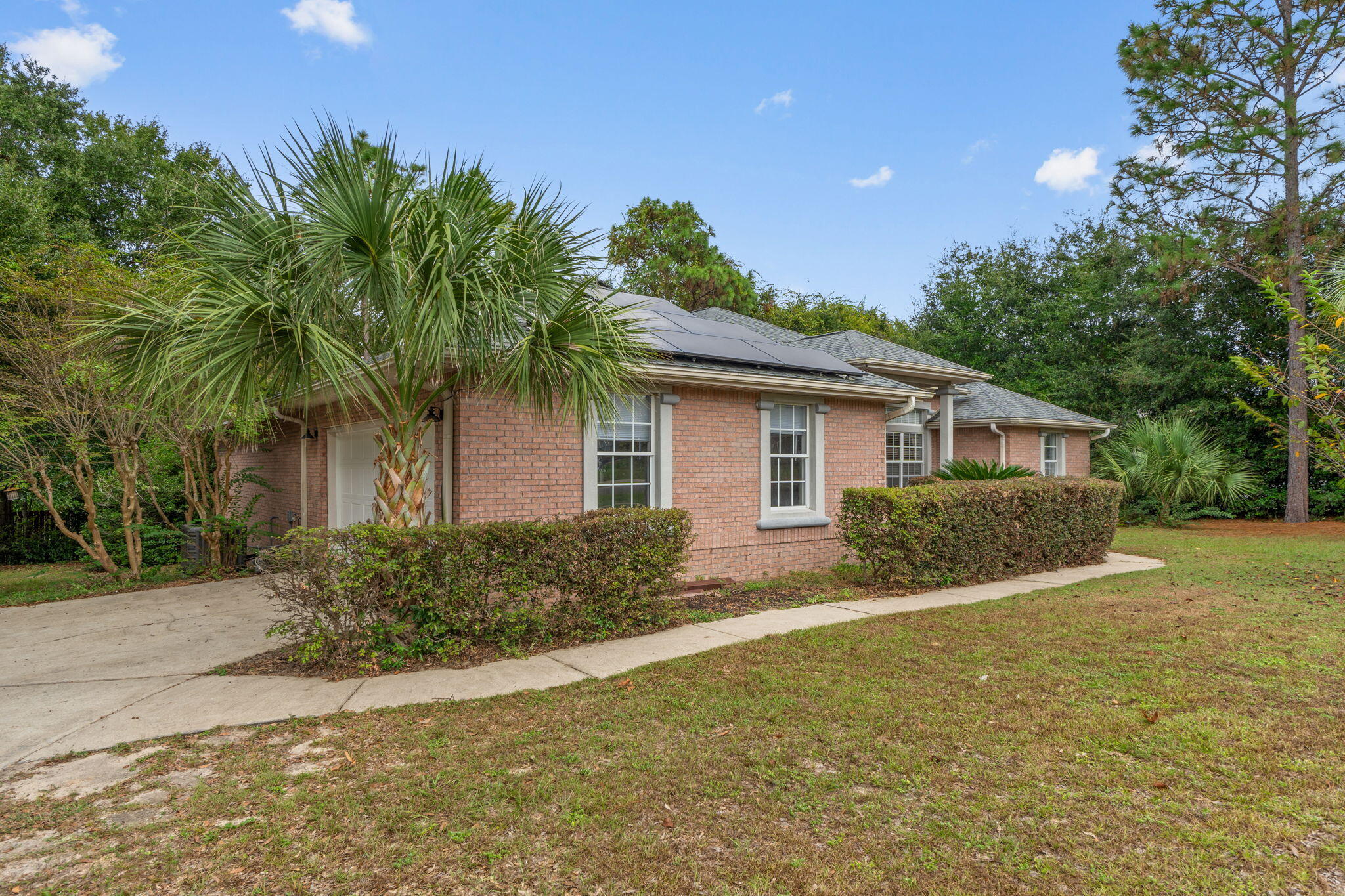 2603 Palamino Trail