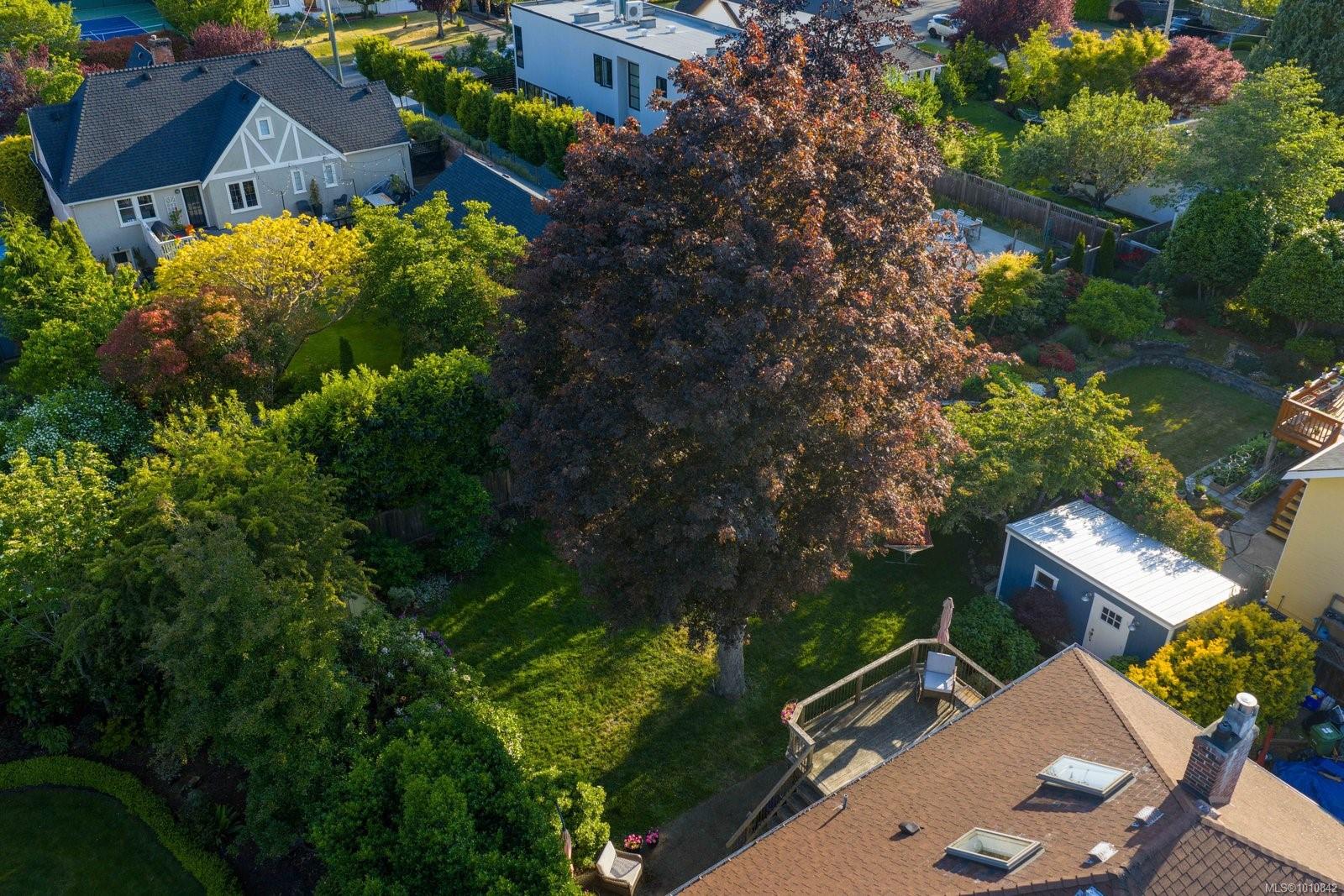 2535 Dalhousie St