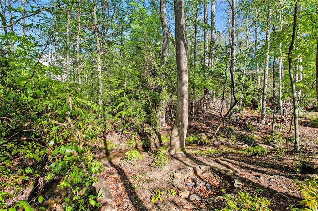 555 Winder Trail