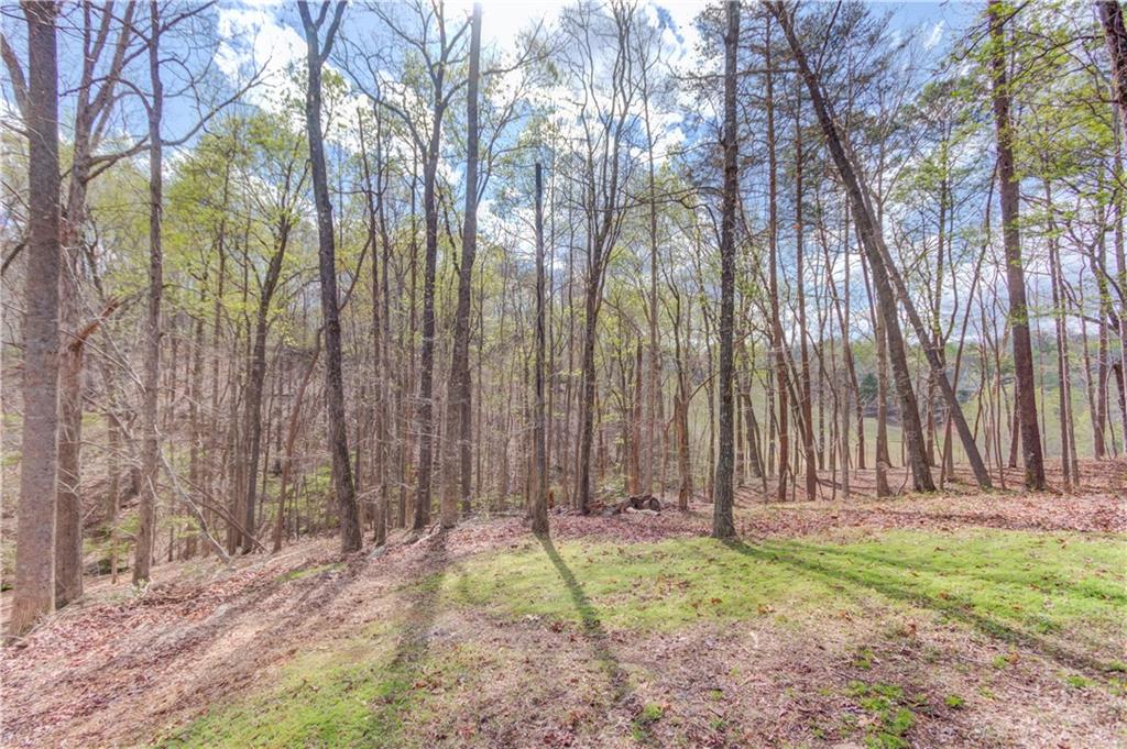 207 River Overlook Road