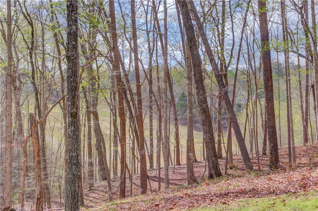 207 River Overlook Road