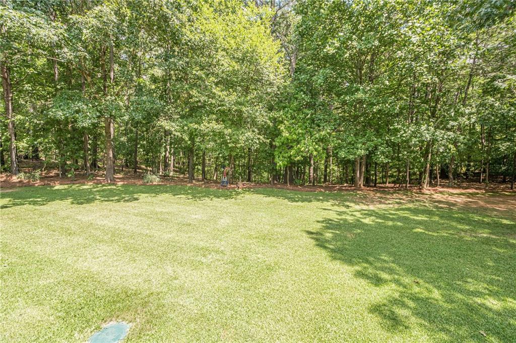 415 Gray Fox Drive