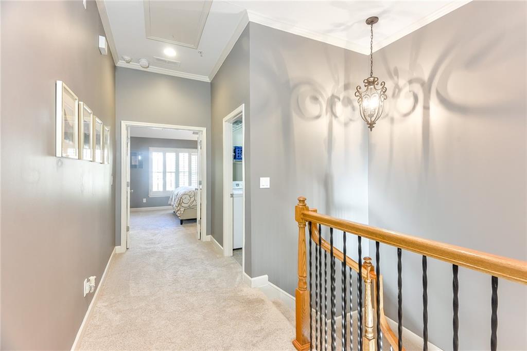 11257 Calypso Drive