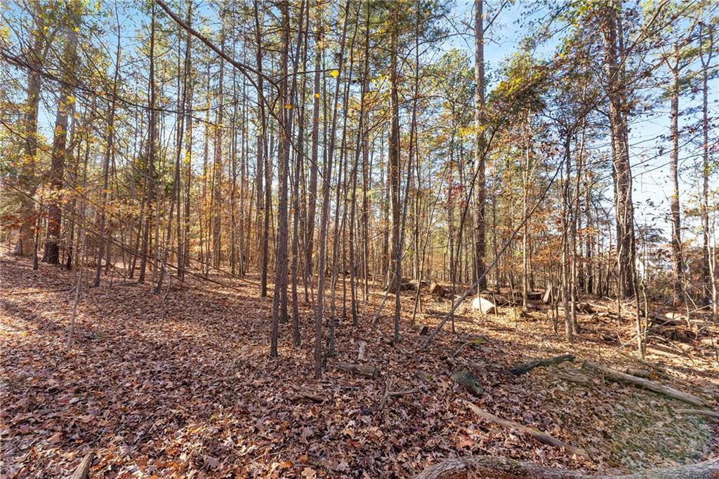 450 Fawn Glen Drive