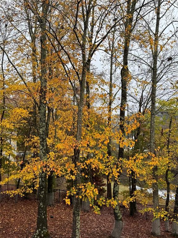 160 ANTLER Trail