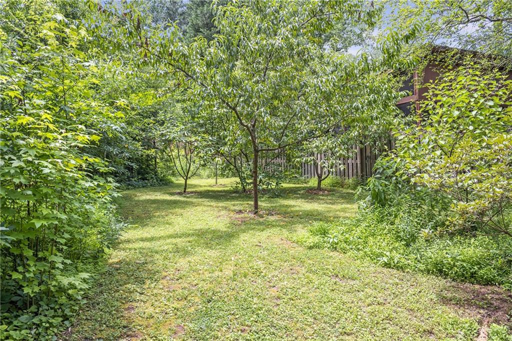 1908 E Roxboro Road NE