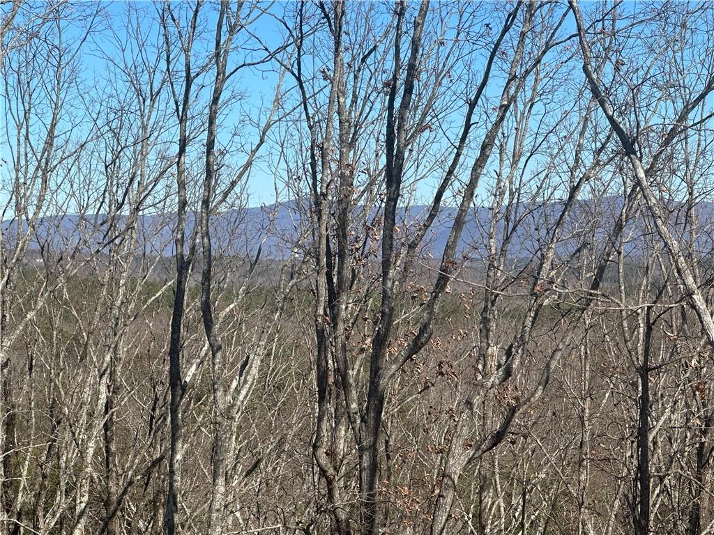 171 Hawthorne Hill Road
