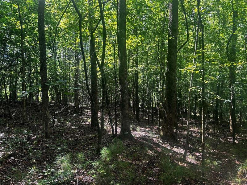 257 Ranchette Road