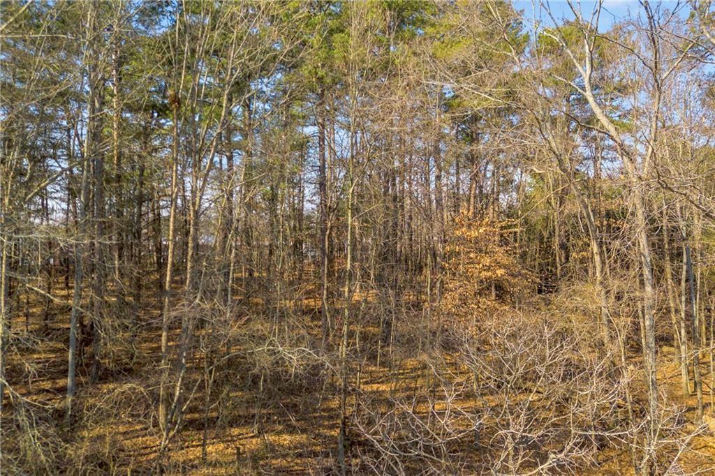 3430 Camp Branch - LOT 7 Road