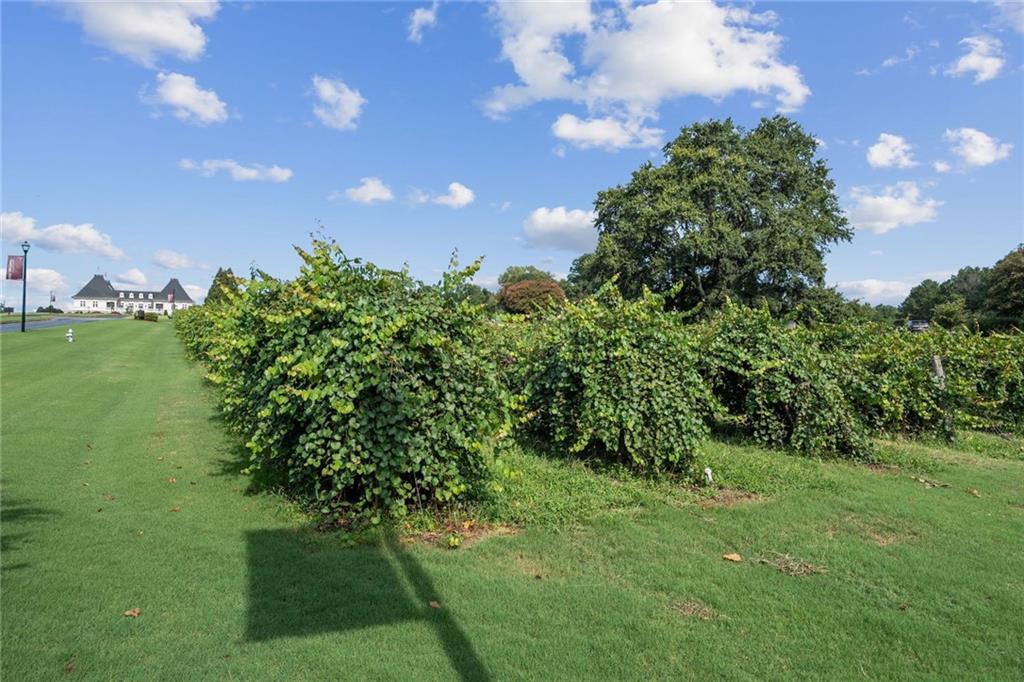2327 Crimson King Drive
