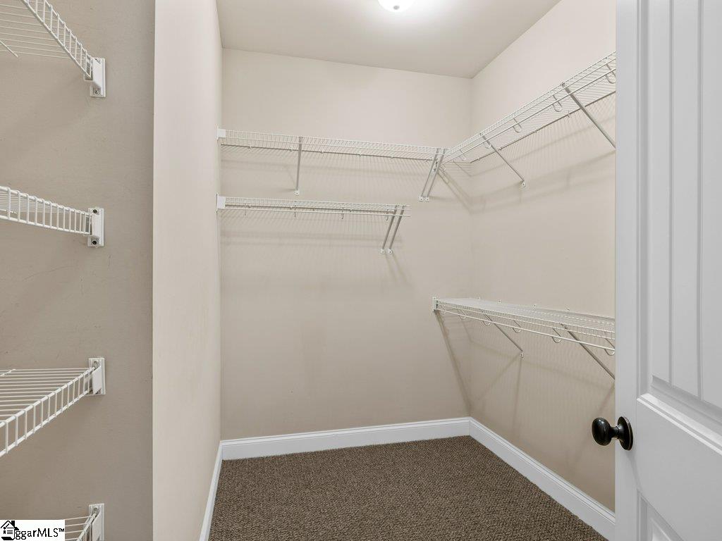 204 Harvest Wood Lane