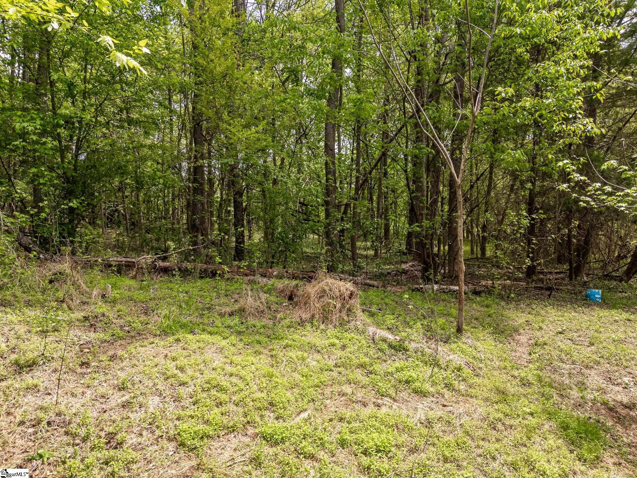 3739 Cowpens Pacolet Road