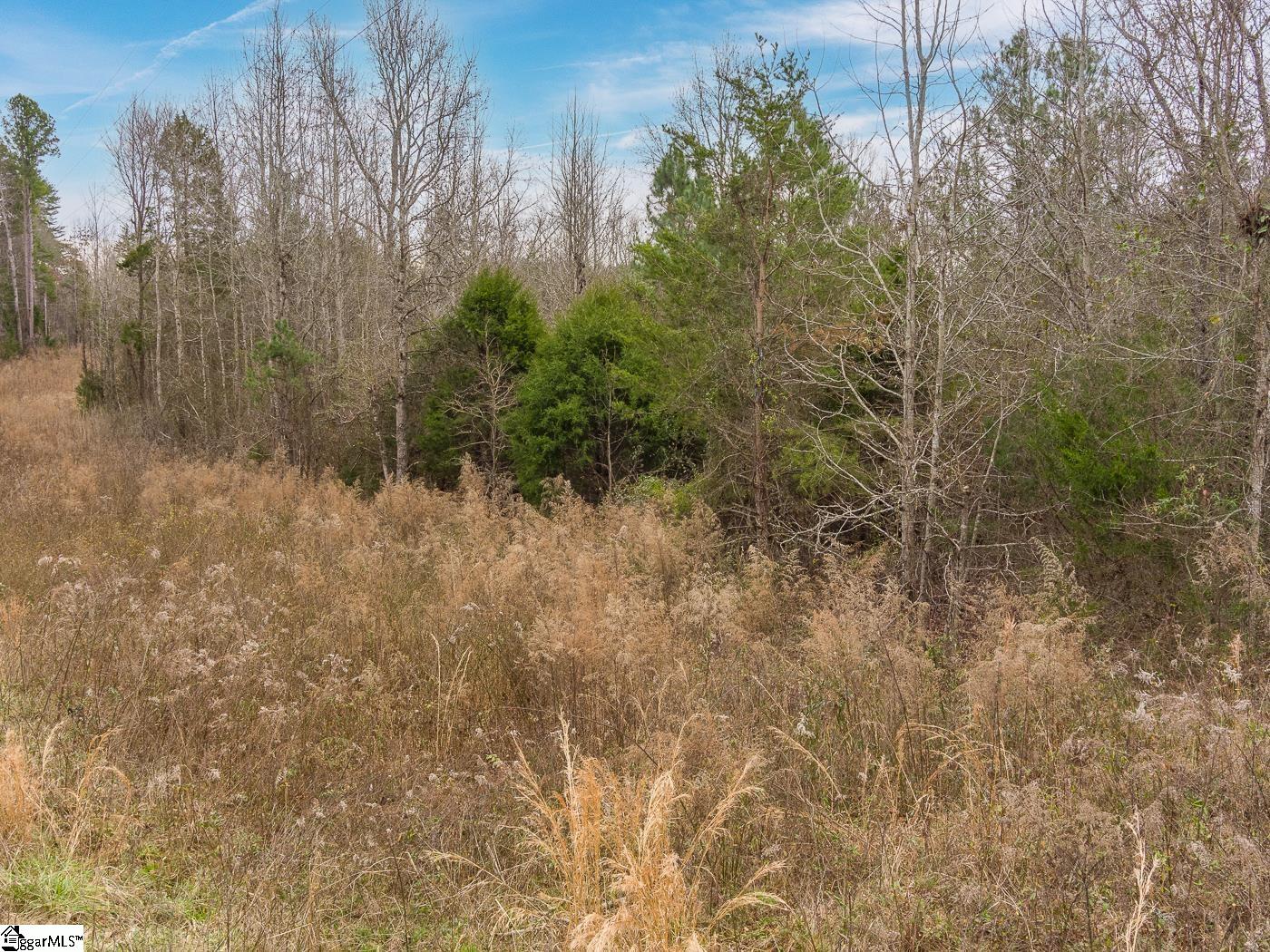 Cowpens Pacolet Road