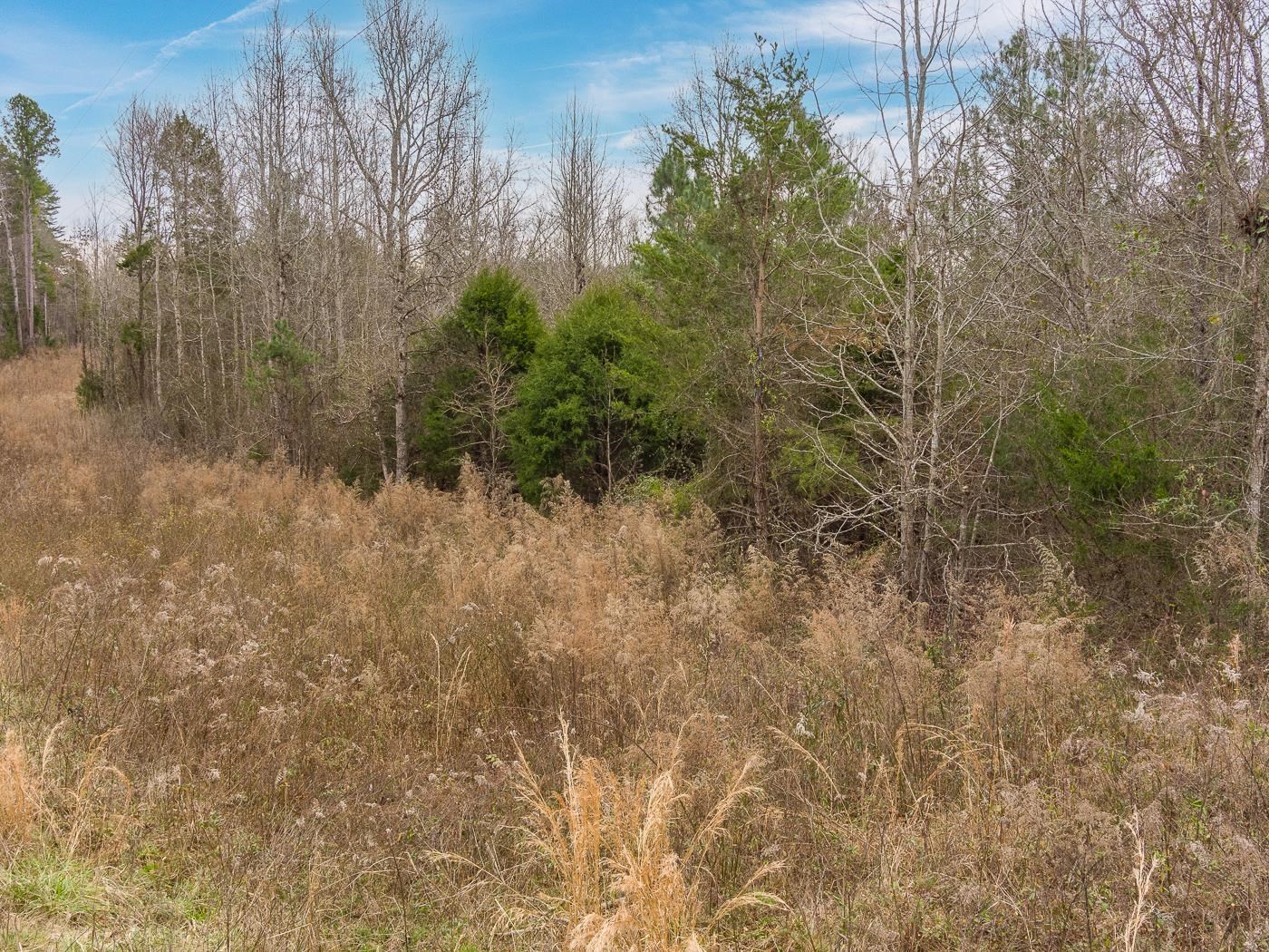 Cowpens Pacolet Road