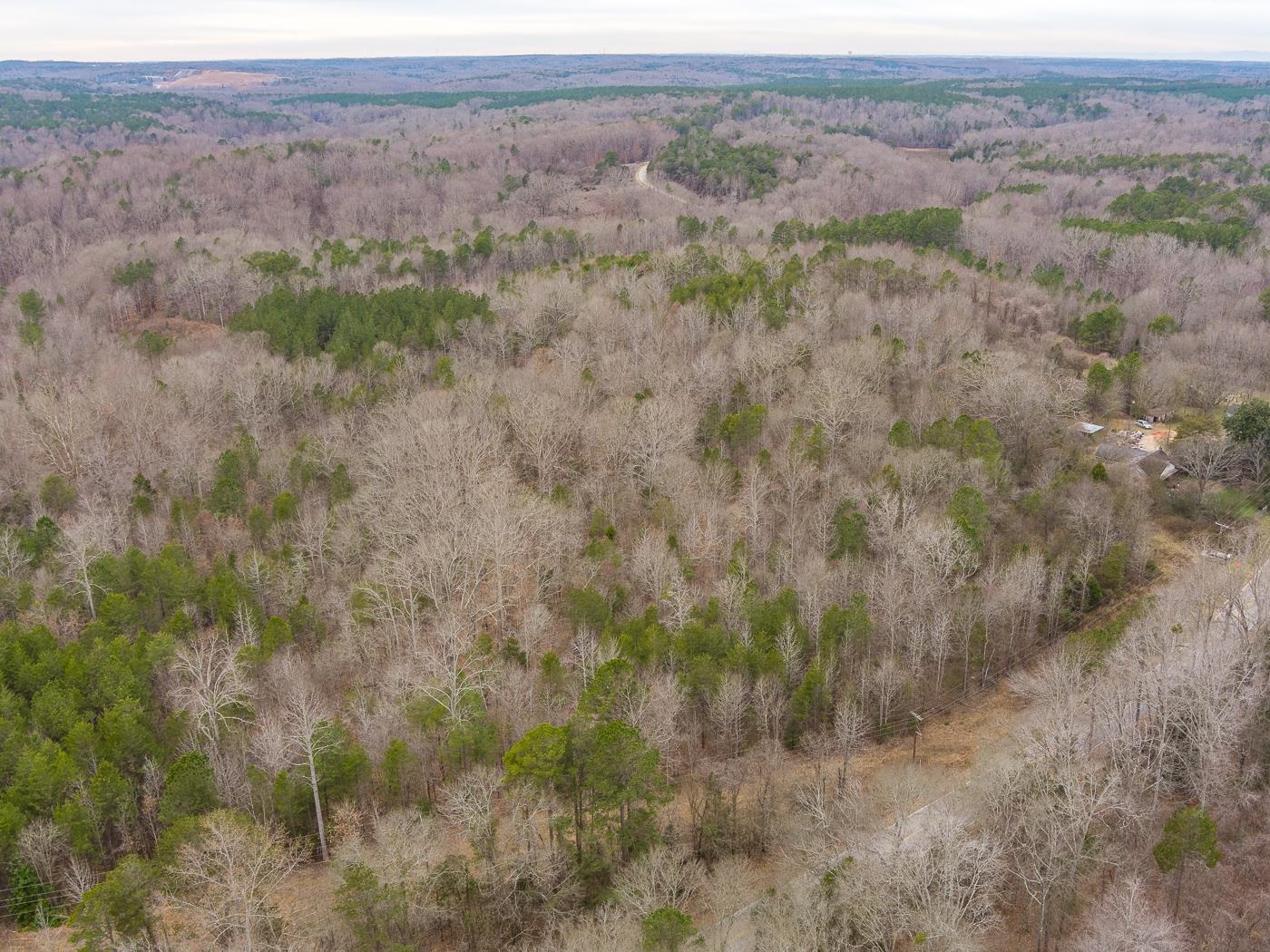 Cowpens Pacolet Road