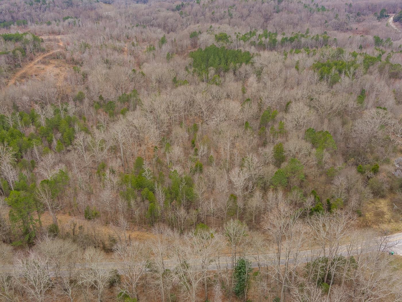 Cowpens Pacolet Road