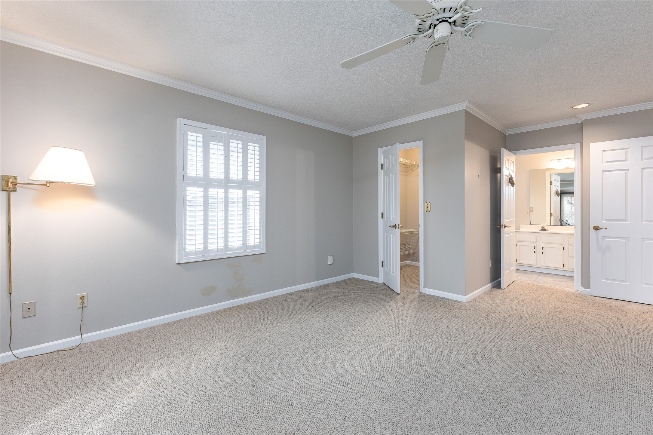 181 Shelby Drive