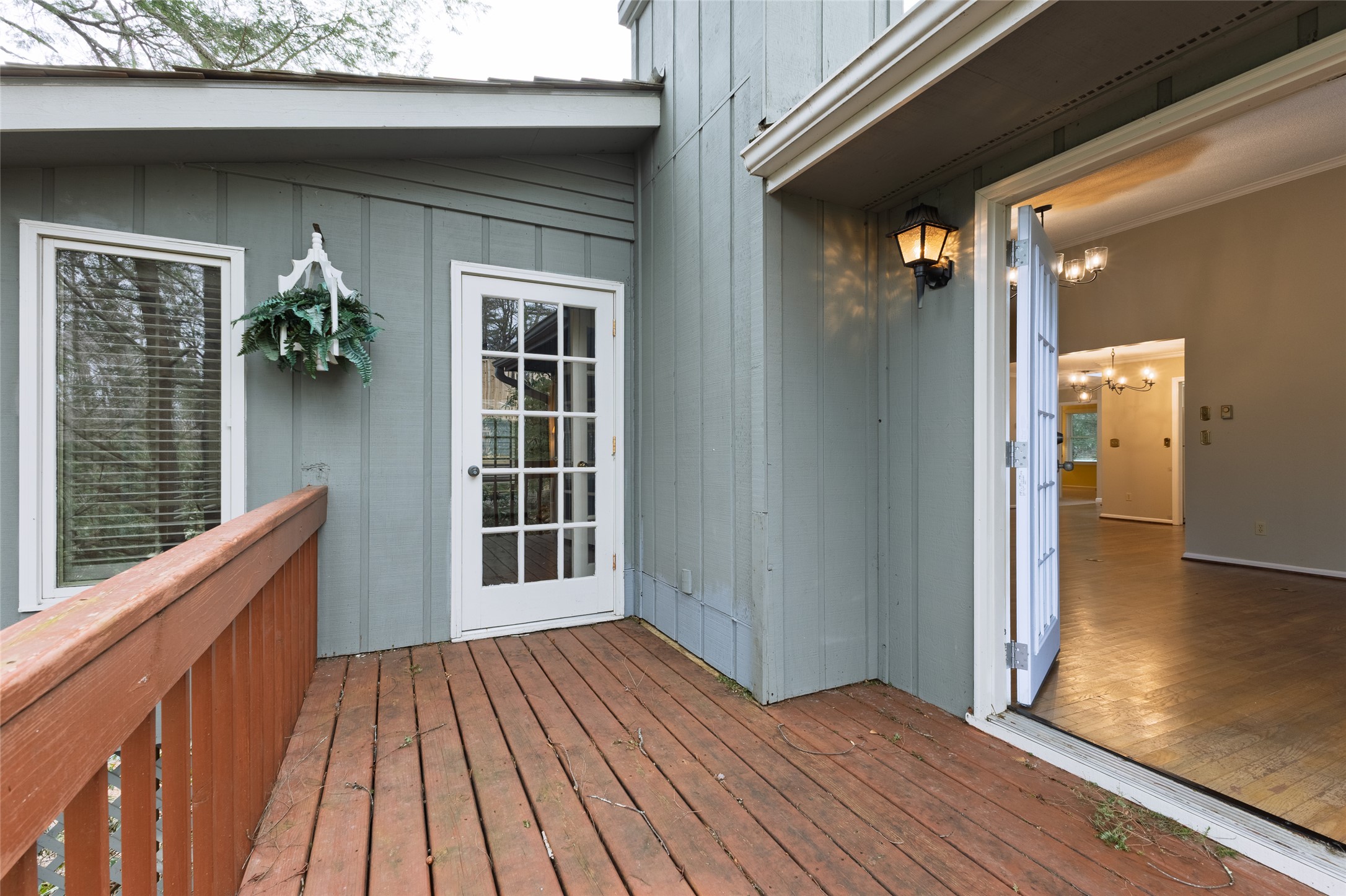 181 Shelby Drive