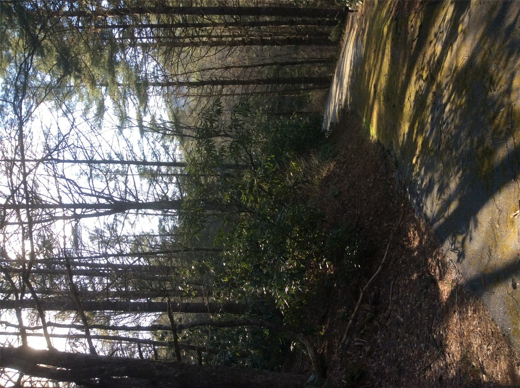 0 Dillard Road