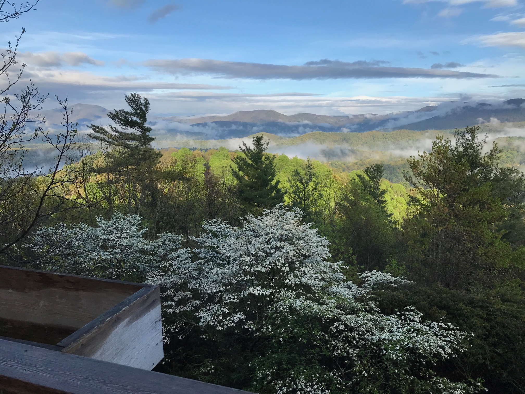 141 Big View Drive