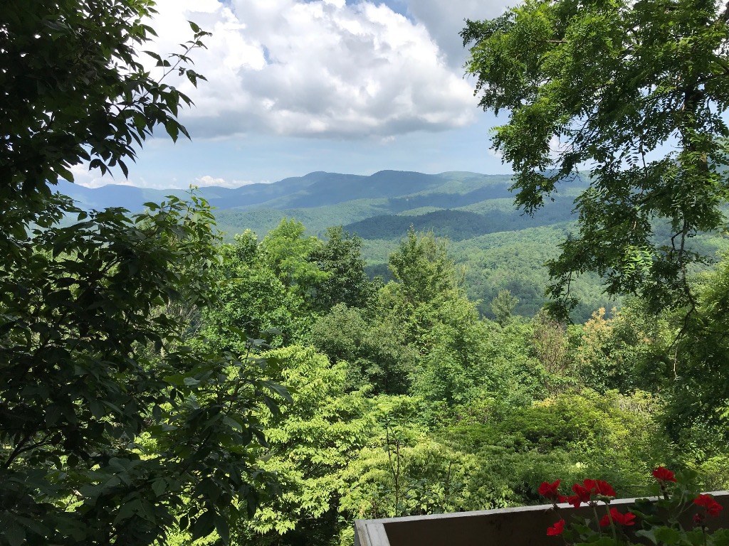 141 Big View Drive