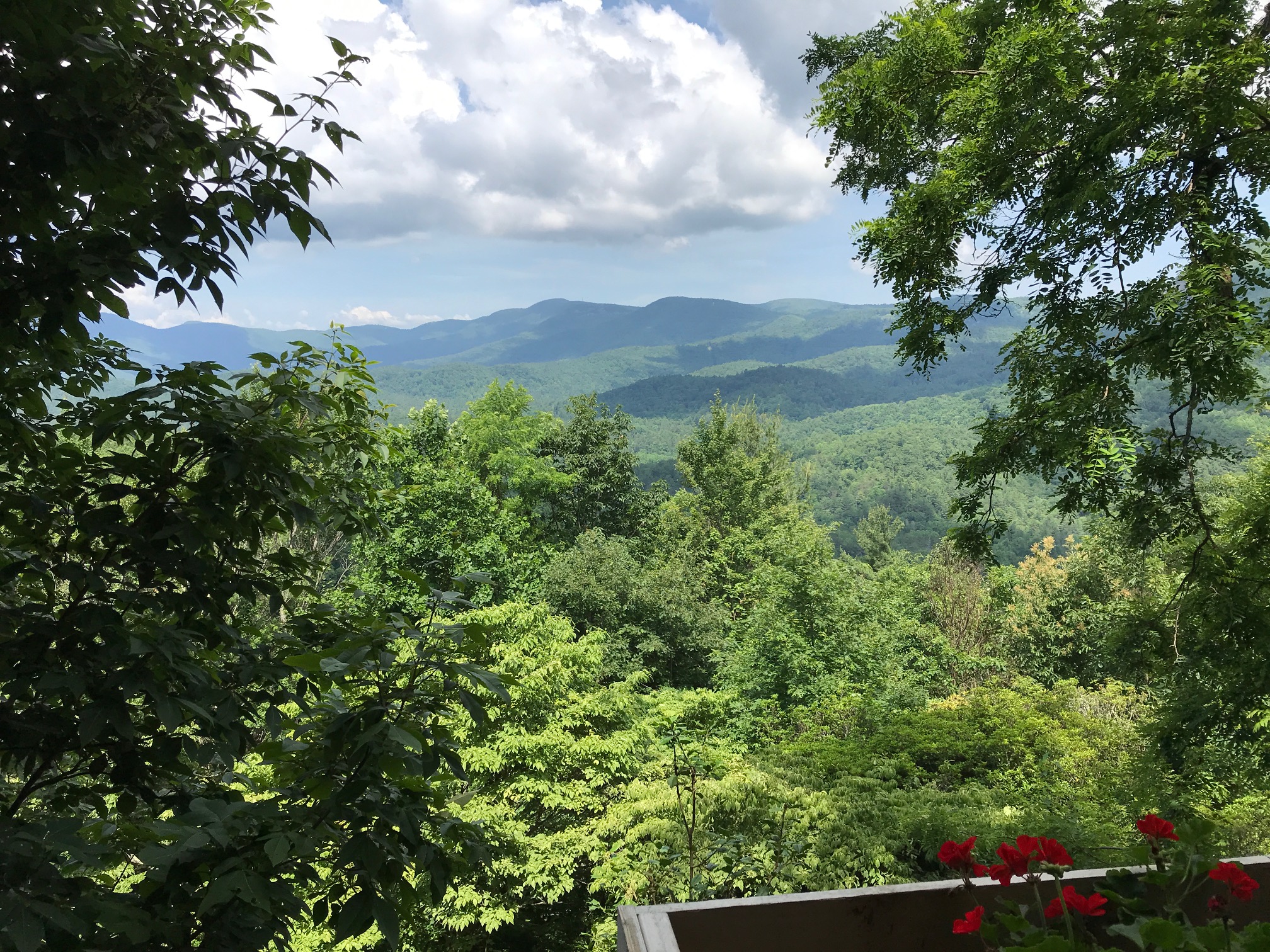 141 Big View Drive