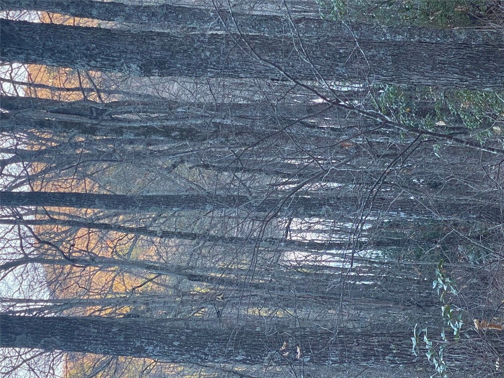 TBD Strawberry Branch