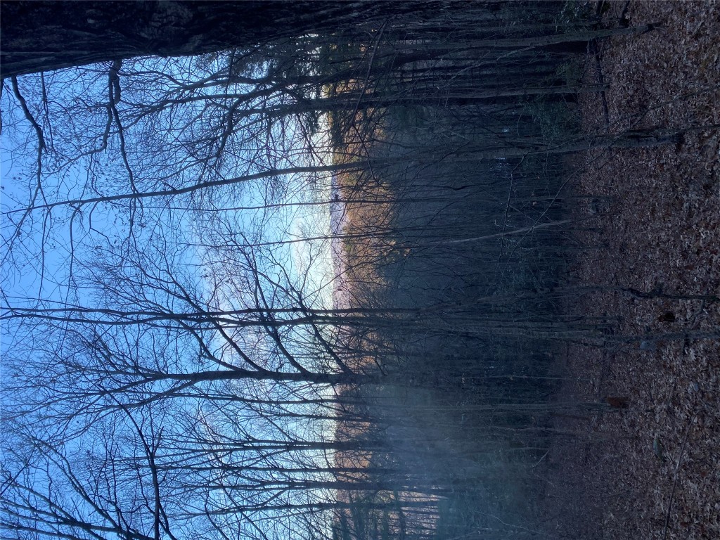 TBD Strawberry Branch